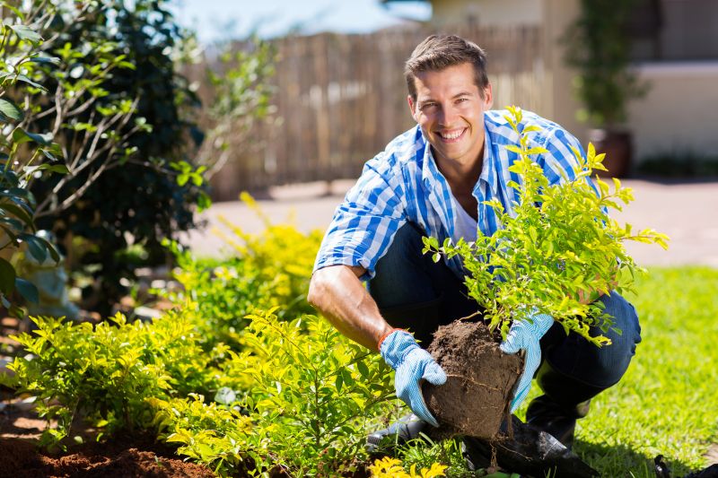 Plant Replacement in Ventura County, CA