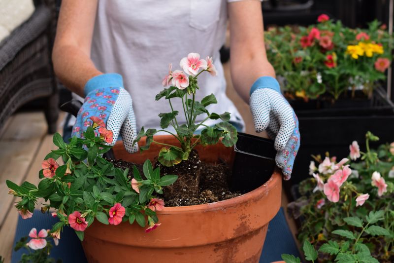 Planting Service in Honolulu, HI
