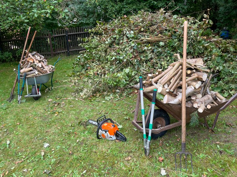 Tree Branches Removal in Ventura County, CA