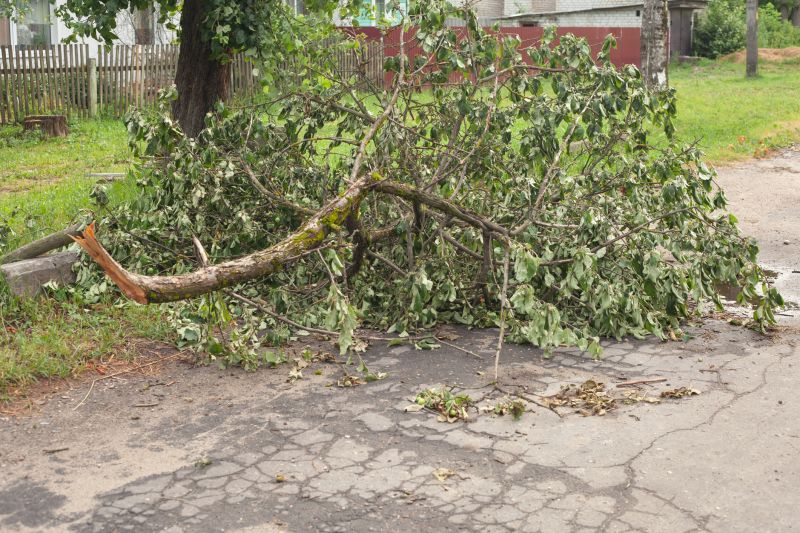 Tree Limb Cleanup in Ventura County, CA