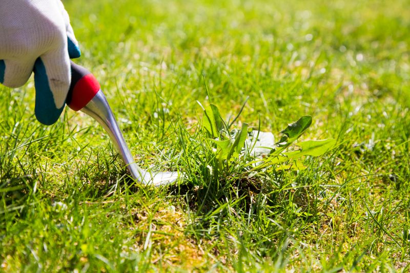 Weeding Service in Rockwall, TX