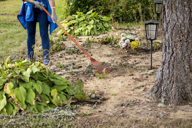 Yard Cleanup Service